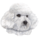 (image for) Bichon Frise Notepad